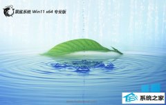 ����ϵͳwin11����������64λv2026.04�⼤��