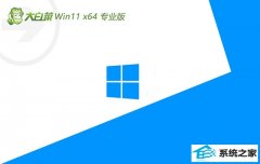 ��ײ�win11 64λ �⼤���׼��Ʒ��v2026.04